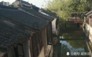 小僵尸消消看